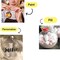 12 Pack 3.15 Inch Clear Glass Christmas Ornament Balls - Fillable Glass Ornaments for Crafts with Hanging Cord, Large 80mm Clear Ornament Balls for DIY, Glass Ornaments for Xmas Tree